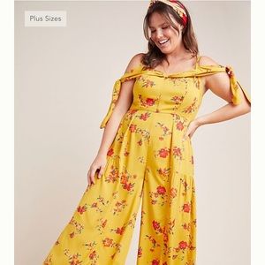 Gorgeous Londonderry Jumpsuit Anthropologie!